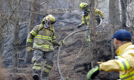 Incendios arrasan con más de 7 mil hectáreas de bosques en Colombia