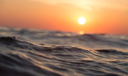 Océanos batieron en 2023 el récord de temperatura más alta