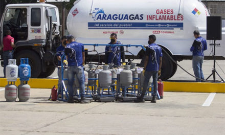 Más de 10 mil familias favorecidas con servicio de Aragua Gas