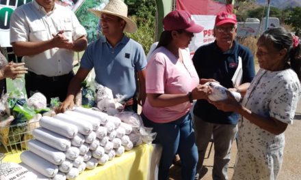 Ferias del Campo Soberano atiende a más de 400 familias en Aragua