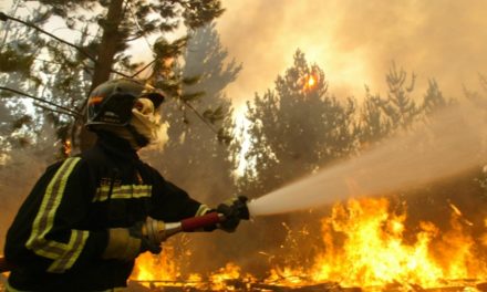 Chile decretó estado de excepción por incendios forestales