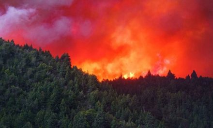 Incendio forestal arrasa más de 7.500 hectáreas de emblemático parque en Argentina