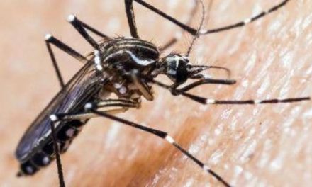 Brasil lanzará campaña de movilización contra el dengue