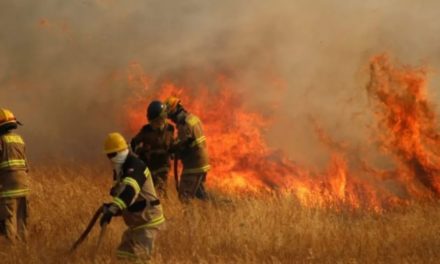 Bomberos venezolanos ayudarán a combatir incendios en Chile