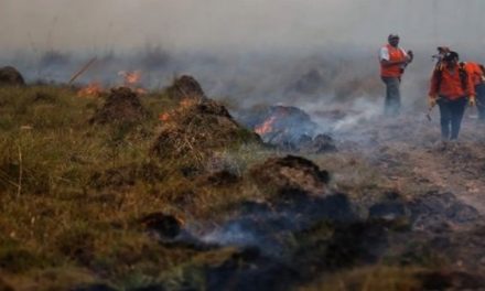 Incendio forestal ha destruido casi 6.000 hectáreas en Argentina
