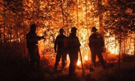 Autoridades chilenas afirmaron que olas de calor intensifican los incendios forestales