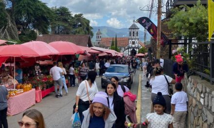 Más de diez mil turistas recibió la Colonia Tovar en los Carnavales