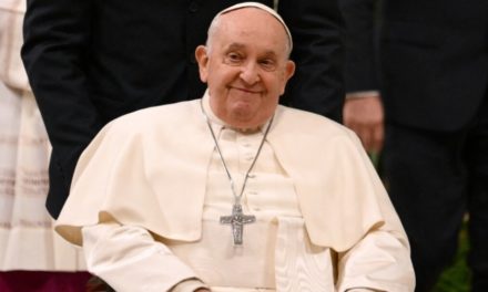 El Papa cancela sus audiencias por una gripe leve