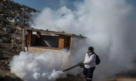 Casos de dengue en Perú rozan los 80.000 en lo que va de año