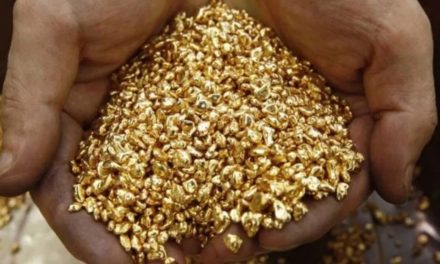 Bolivia creó empresa estatal para explotar y comercializar oro