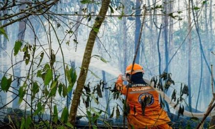 Más de 1.200 hectáreas arden por incendio forestal en Colombia