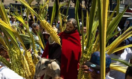 Entrada triunfal de Jesús a Jerusalén motivó el Domingo de Ramos para la cristiandad