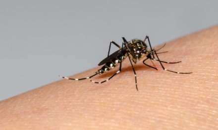 Brasil supera los dos millones de casos de dengue en lo que va de 2024