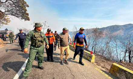 Incendio en el Parque Nacional Henri Pittier está controlado