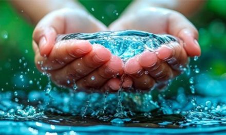 Dia Mundial del Agua: Cuidar el vital líquido es asegurar el futuro