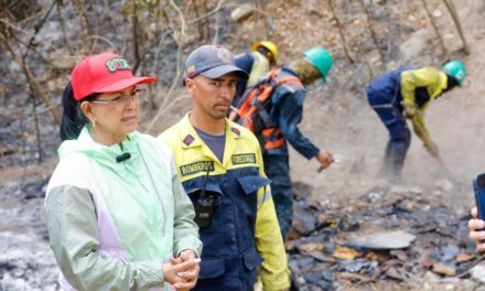 Gobernadora Karina Carpio llamó a la conciencia ante aumento de incendios forestales