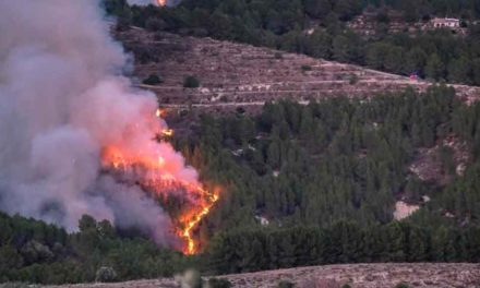 Incendio en el sur de España dejó tres heridos y 180 personas desalojadas