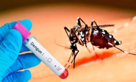 Más de 600 casos de dengue en Uruguay