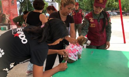 Más de tres mil mascotas favorecidas en jornada veterinaria en Zamora