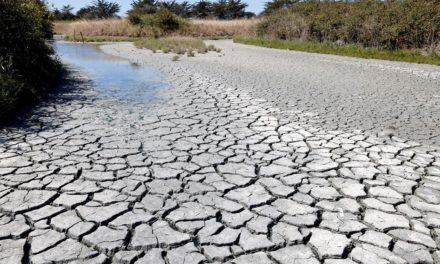 Toman medidas en Colombia para enfrentar prolongada sequía