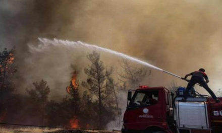 Turquía sigue luchando contra incendios forestales en medio de las altas temperaturas