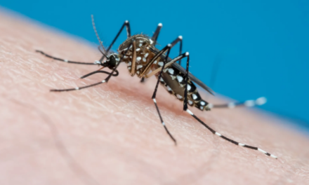 Trinidad y Tobago reporta primera muerte por dengue de 2024
