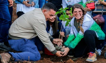 Reforestan con 500 árboles el Parque Nacional Waraira Repano