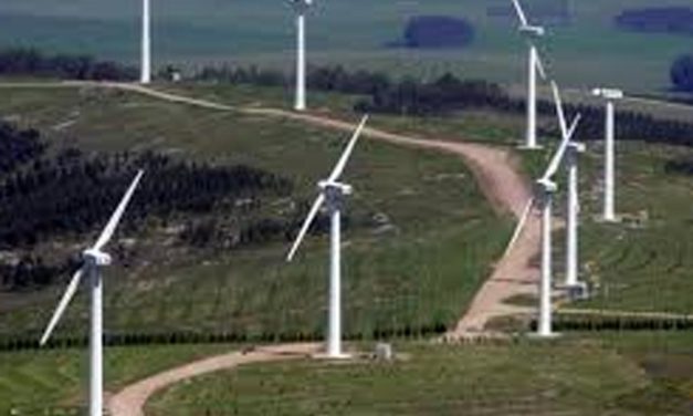 Afirman que Uruguay está a la vanguardia en energía eólica