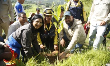 Plantatón 2024 sembrará mil árboles en la serranía del Hotel Marriott