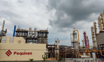 Grupo turco acuerda inversión de $750 millones en planta de amoníaco