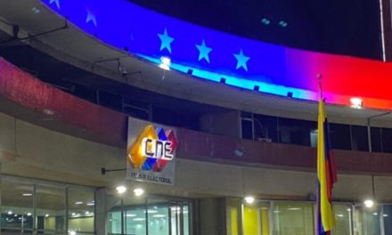 CNE publicó normativa de la campaña electoral