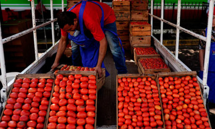 El Salvador suspendió «todos» los aranceles en alimentos de la canasta básica