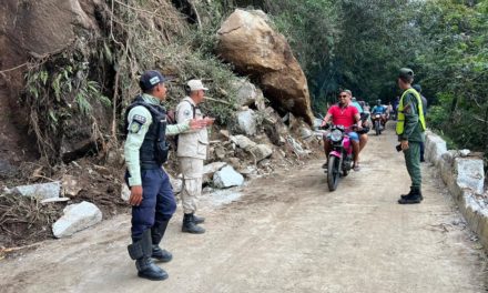 Avanzan trabajos de despeje en la carretera de Choroní