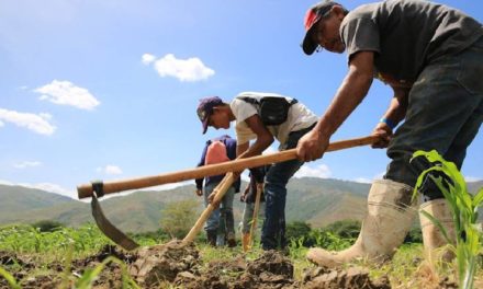 Venezuela alcanzó el duodécimo trimestre de crecimiento económico consecutivo