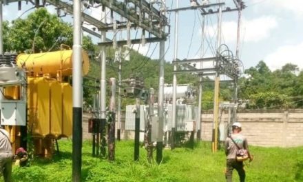 Corpoelec Aragua realizó labores de desmalezado en subestaciones