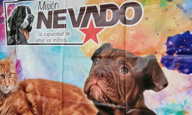 Misión Nevado esterilizó a más de 70 animales domésticos en Maracay  