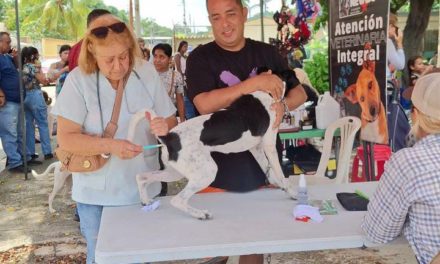 Misión Nevado atendió a 197 animales en Libertador