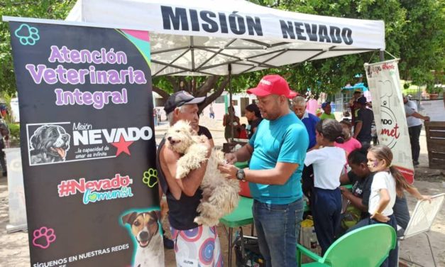Misión Nevado ha atendido más de 17 mil mascotas durante el 2024