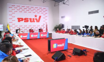 Psuv manifestó respaldo absoluto a iniciativas del Estado para garantizar la paz