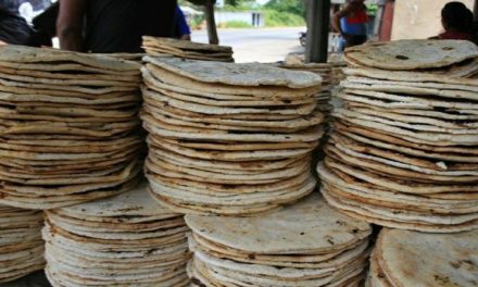 Avanza postulación del Casabe de Cúpira como Patrimonio Cultural