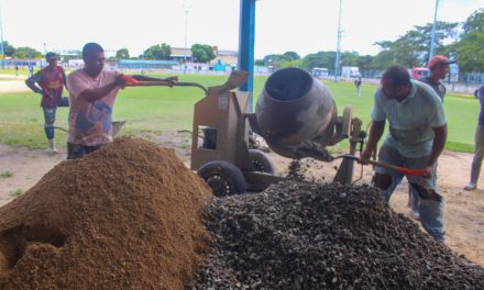 En recuperación estadio de béisbol menor «19 de Abril»