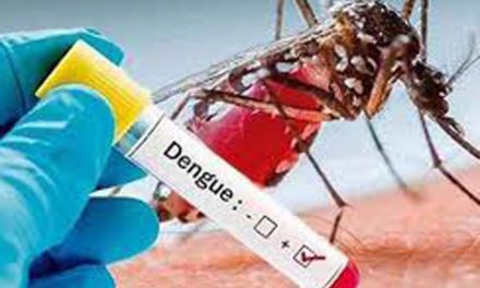 Ticos reactualizan debate sobre aplicación de vacuna contra el dengue