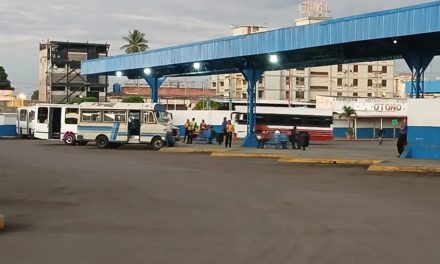 Transporte público continúa trabajando con normalidad