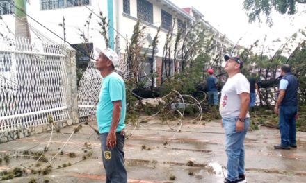 Atendida contingencia por árbol caído en el Santuario de la Virgen de Belén en Bolívar