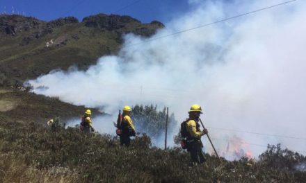 Más de ocho mil hectáreas han sido afectadas por incendios forestales en Ecuador