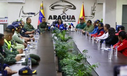 Autoridades declararon a Aragua territorio de paz