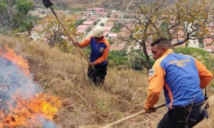 Aragua sigue recomendaciones para evitar incendios forestales