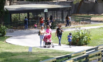 Zoológico Las Delicias cuenta con sala situacional para vigilar los ejemplares