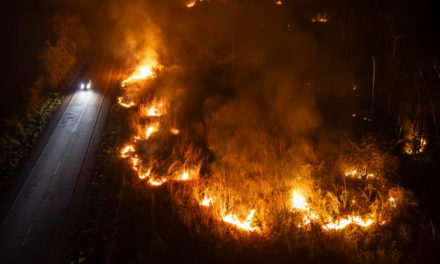 Gobierno de Brasil solicitó apoyo internacional para combatir incendios forestales