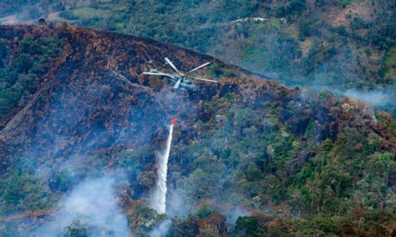 Incendios forestales arrasan con millones de hectáreas en Suramérica